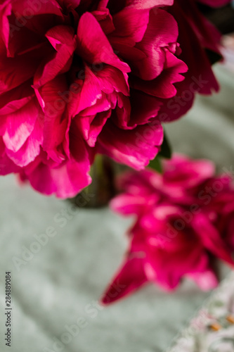 peony, red flower blossom in vase, vintage spring