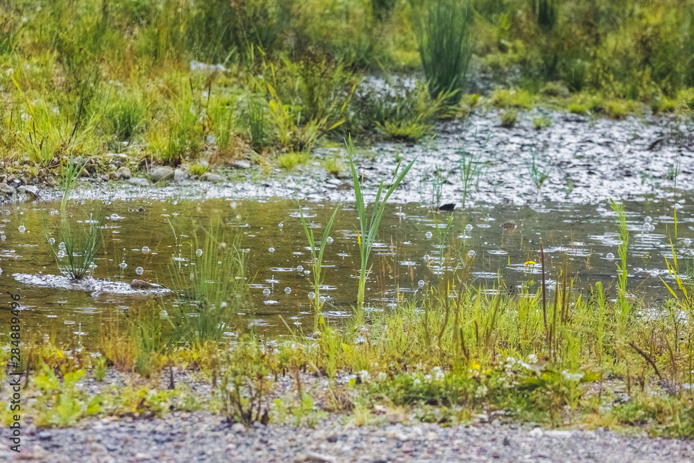 Puddle with water bubbles in the rain. It's raining, it's rainy weather_ Puddle with water bubbles in the rain. It's raining, it's rainy weather_