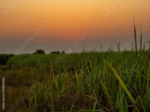 sunset at the abandoned field