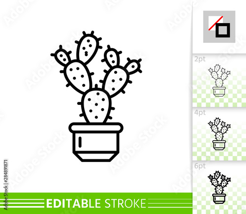Cactus succulent plant simple line vector icon