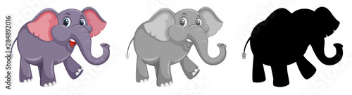 Set of colored and silhouette elephant