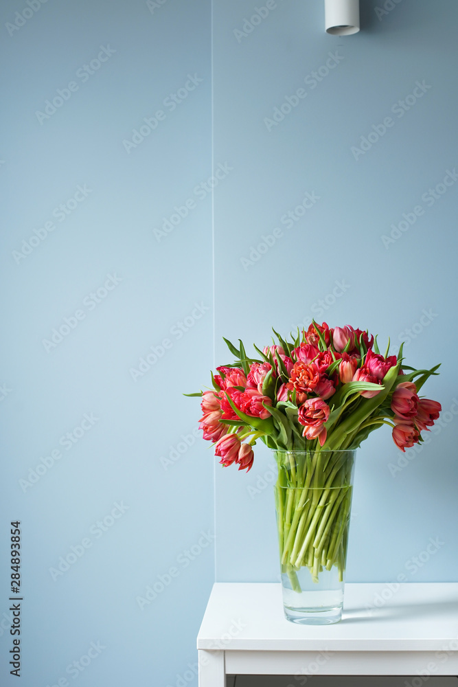 Obraz premium Beautiful bouquet of red tulips in a glass vase on a white table in a bright interior . Against a light blue wall.