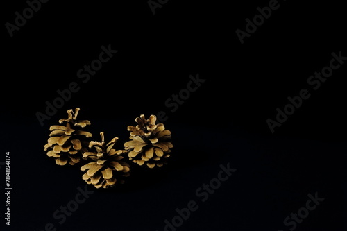 Fir cones closeup on black background. Minimal style with copy space. Symbolic concept - symbol, Christmas, New Year.