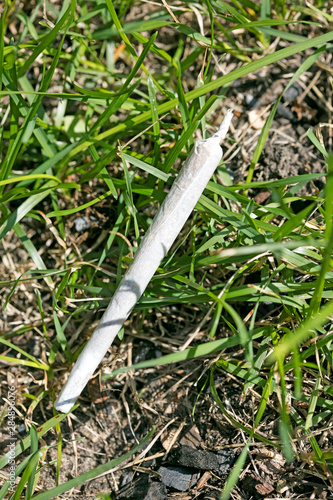 Cannabis joint macro in grass background fifty megapixels