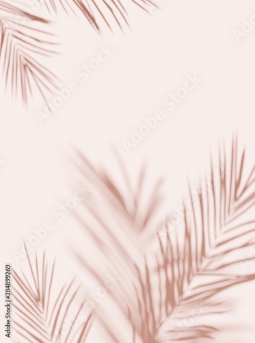 Tropical palm leaves on light pastel background. Unobtrusive botanical background with shadow on the wall - trend frame, cover, card, postcard, graphic design - 3D, render, illustration. 