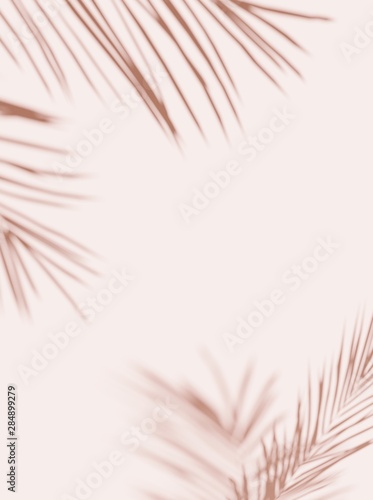 Tropical palm leaves on  light pastel background. Unobtrusive botanical backg...