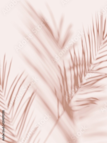 Tropical palm leaves on  light pastel background. Unobtrusive botanical backg...