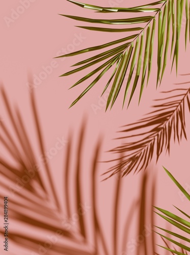 Tropical palm green leaves on  light pastel background. Unobtrusive botanical...