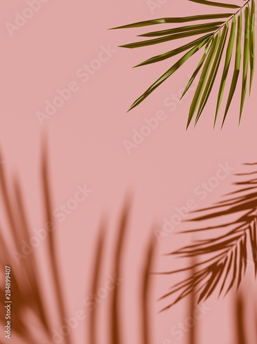 Tropical palm green leaves on light pastel background. Unobtrusive botanical background with shadow on the wall - trend frame, cover, card, postcard, graphic design - 3D, render, illustration. 
