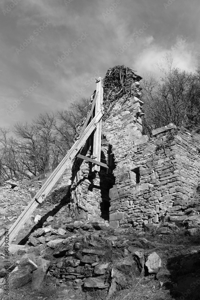 Fototapeta premium Ruine