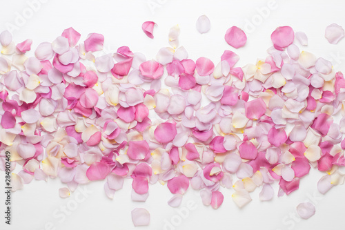 Pink rose flowers petals on white background. Flat lay  top view  copy space.