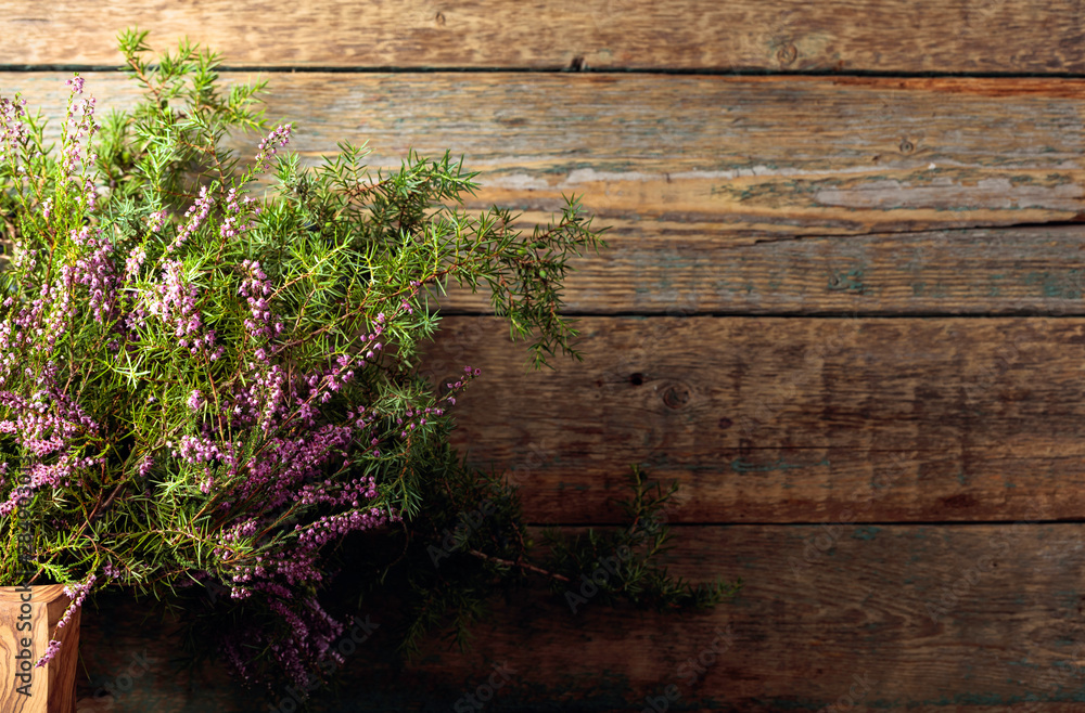 Blooming heather and juniper branch with berries on a wooden background. Blooming heather and juniper branch with berries on a wooden background.