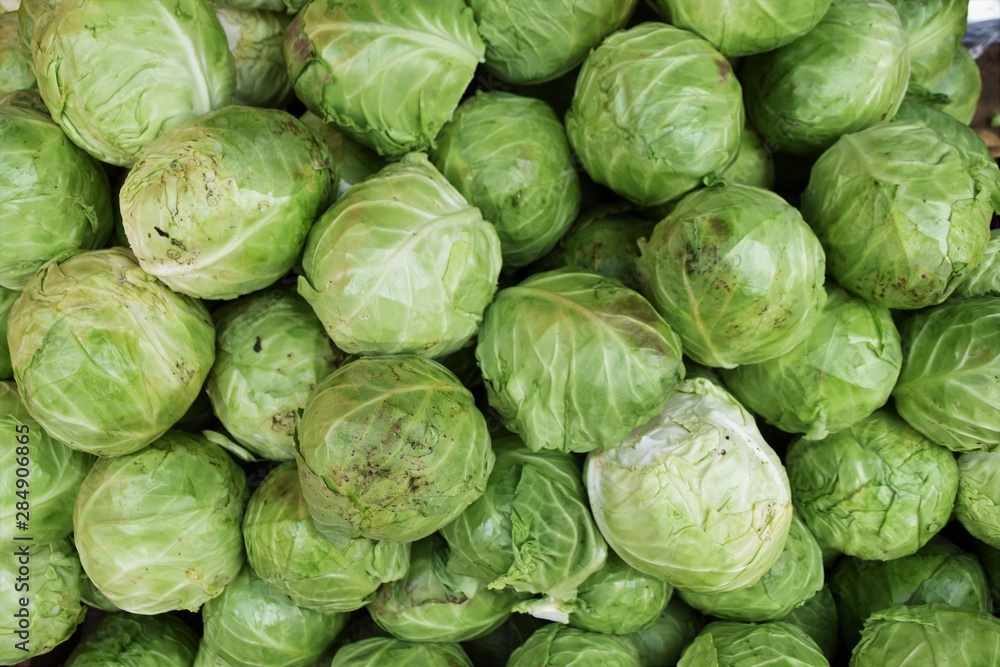 cabbage cabbage
