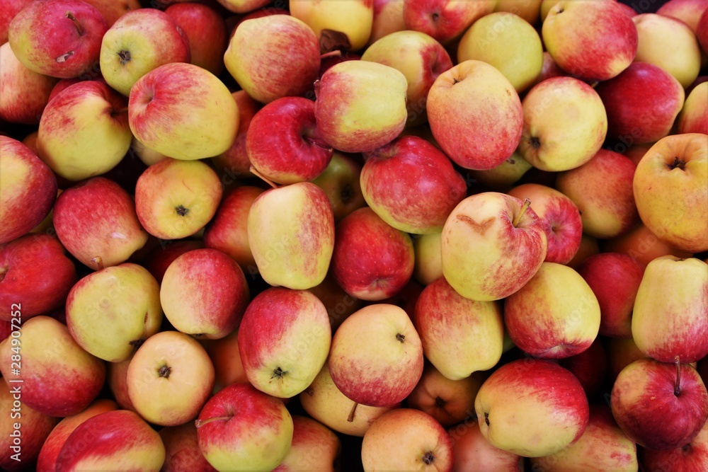 Apples Apples