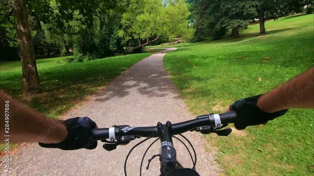 Bicycling on the road through forest Bicycling on the road through forest