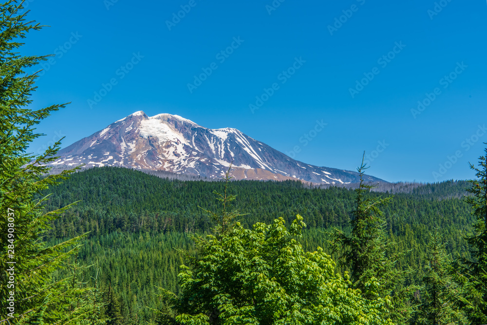 Landscape of SW Face of Mount Adams from Forest Road-23 Viewpoint-2398
