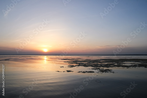 Sunset on the Dnieper river  Ukraine  landscape with sun  orange-purple sky  water and algae