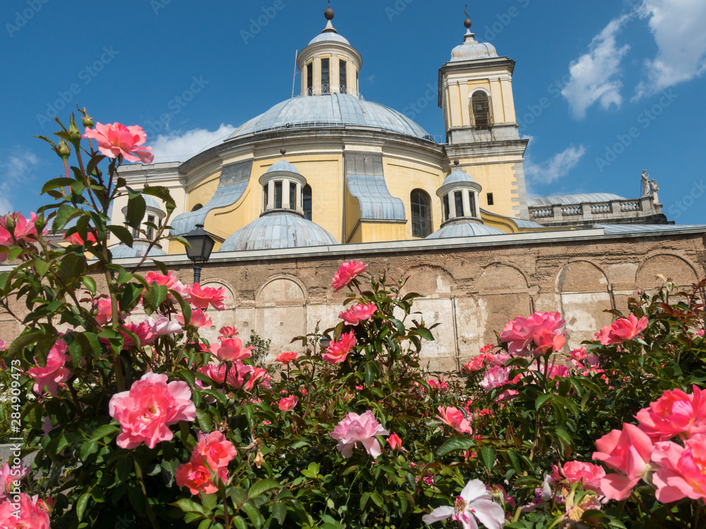 Obraz premium Park with blooming roses and fountains in Madrid