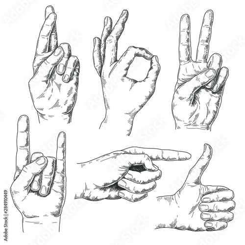 Vintage hand drawn hand gestures isolated on white background. Pen and ink vector illustration.