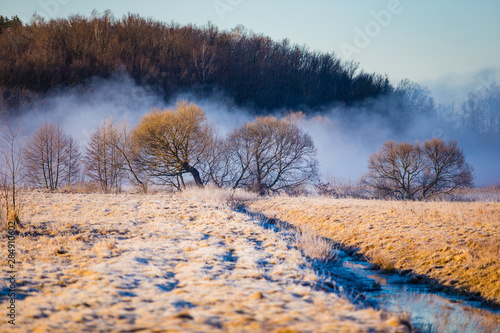 Wallpaper Mural Foggy morning in countryside. Weather transition concept. Frost on dry grass Torontodigital.ca
