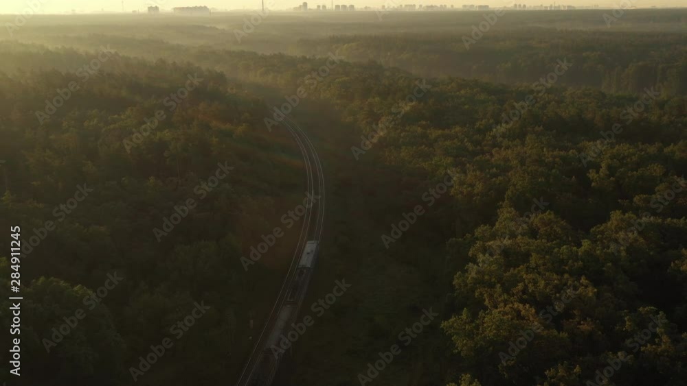 The electric train comes to the city, which is visible on the horizon, through the forest in the morning fog. The electric train comes to the city, which is visible on the horizon, through the forest in the morning fog.