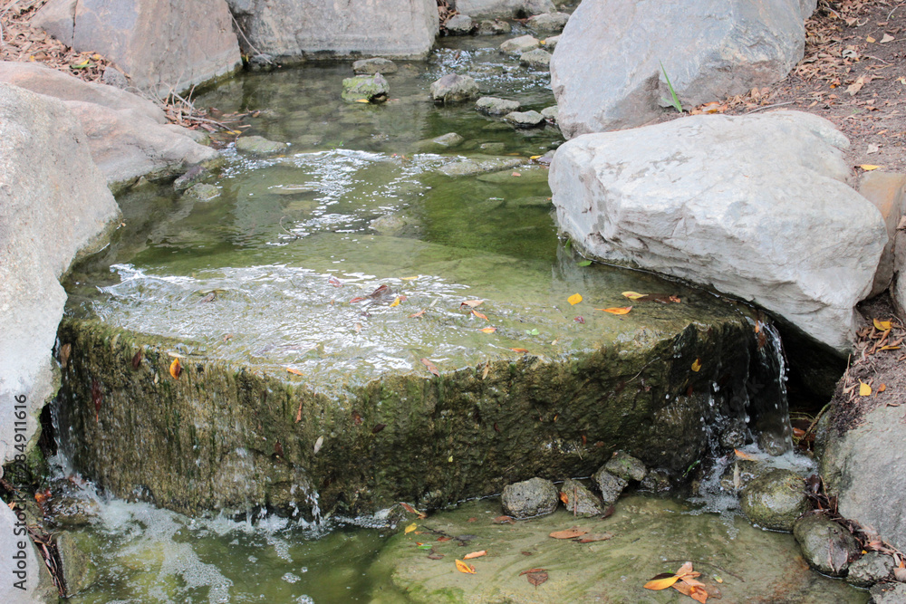 Fototapeta premium waterfall in forest