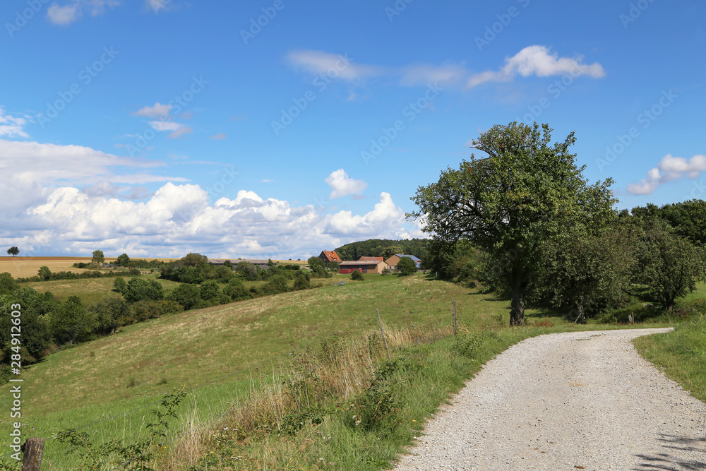 Summer landscape with meadows and field road