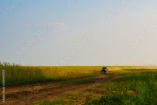 Red crossover raises a cloud of dust on a country dirt road. The road along the green meadow.