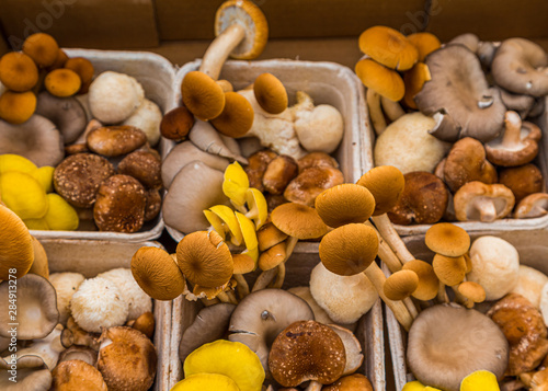 Fresh varieties of wild mushrooms in a local farmers market