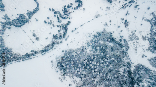 Aerial view of evergreen Christmass pine forest from above. bird's eye, drone shot. amazing natural winter background