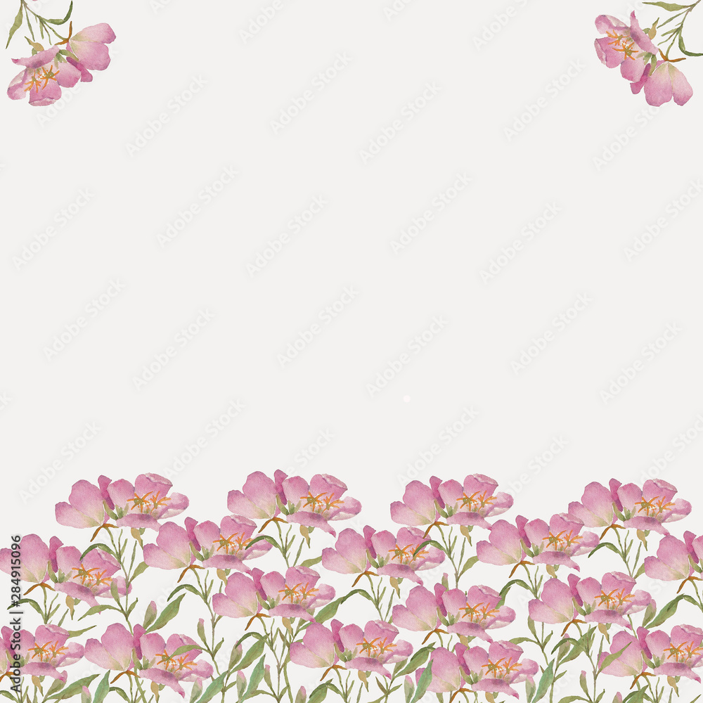 Watercolor pink flowers on a white background