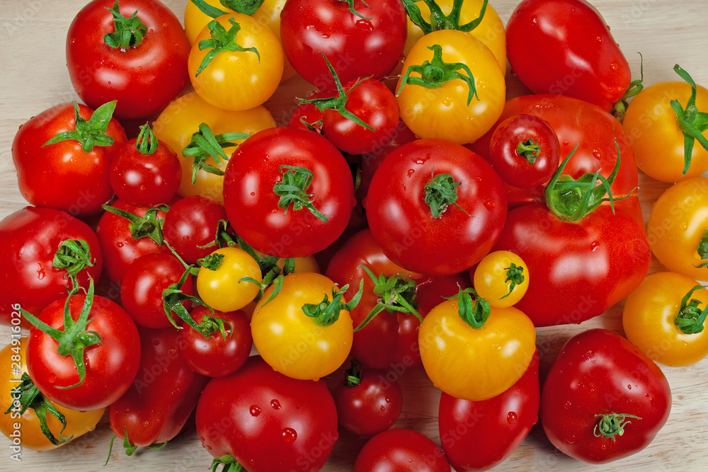 Verschiedene Tomaten, Solanum lycopersicum