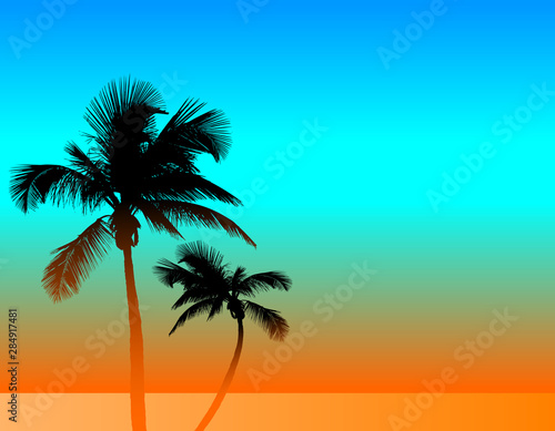 A tropical background with two palm trees.  A template with room for your text.   © mike166146