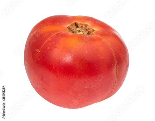 organic ripe big red tomato fruit cutout on white