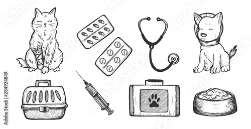 Veterinarian clinic medical icons set