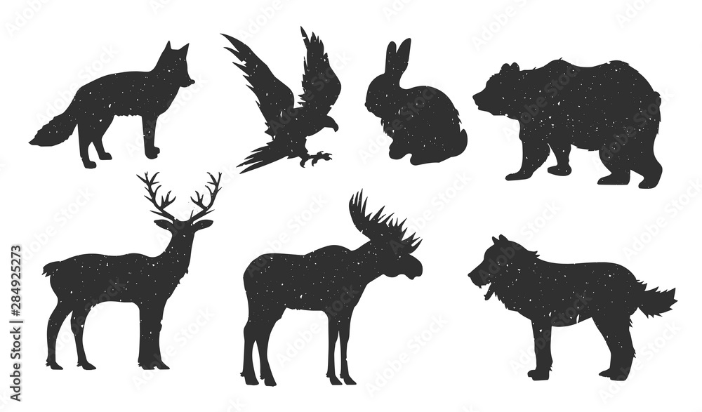 Obraz premium Collection of forest animals silhouette