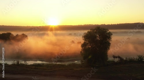 Wallpaper Mural Flying over the morning summer meadow in the fog, beautiful summer landscape, high quality Torontodigital.ca