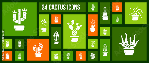 Cactus succulent plant in pot icon vector set
