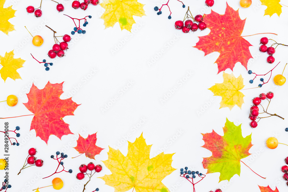 Flat lay frame with colorful autumn leaves and berries on a white background