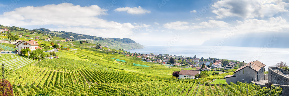 Fototapeta premium The Lavaux Vineyard Terraces, stretching for about 30 km along the south-facing northern shores of Lake Geneva from the Chateau de Chillon to the eastern outskirts of Lausanne in the Vaud region.