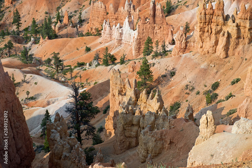 Bryce Canyon, view from upper view point