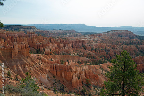 View over Bryce Canyon with trees in front © Ralf