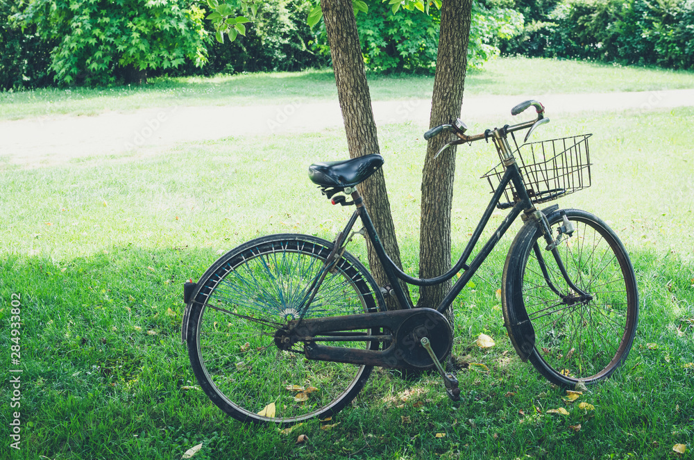 Fototapeta premium Vintage bicycle waiting near tree