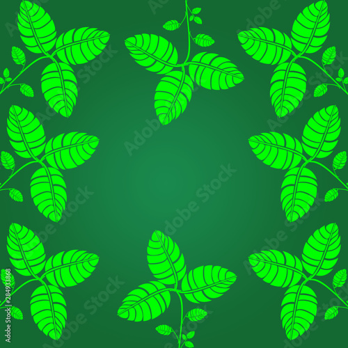 nature frame with green tree leaves
