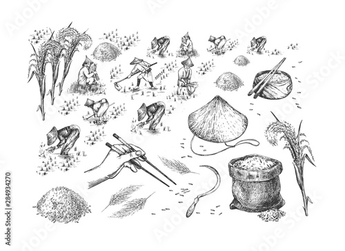 Japanese rice harvesting set