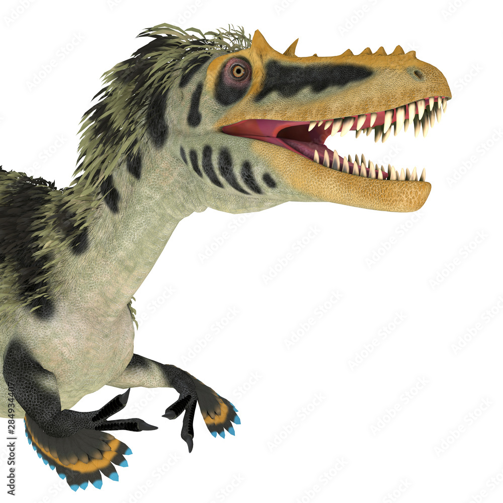 Alioramus Carnivorous Theropod Dinosaur Lived Asia Cretaceous