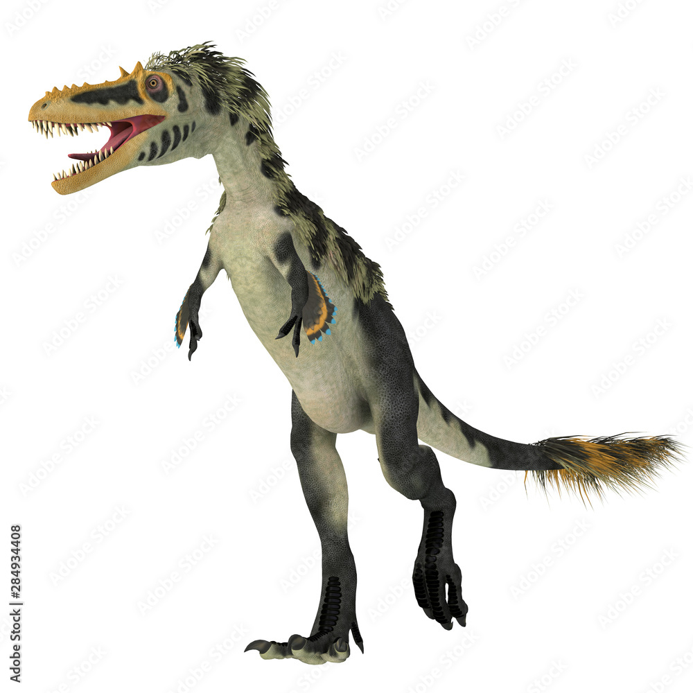 Alioramus Carnivorous Theropod Dinosaur Lived Asia Cretaceous