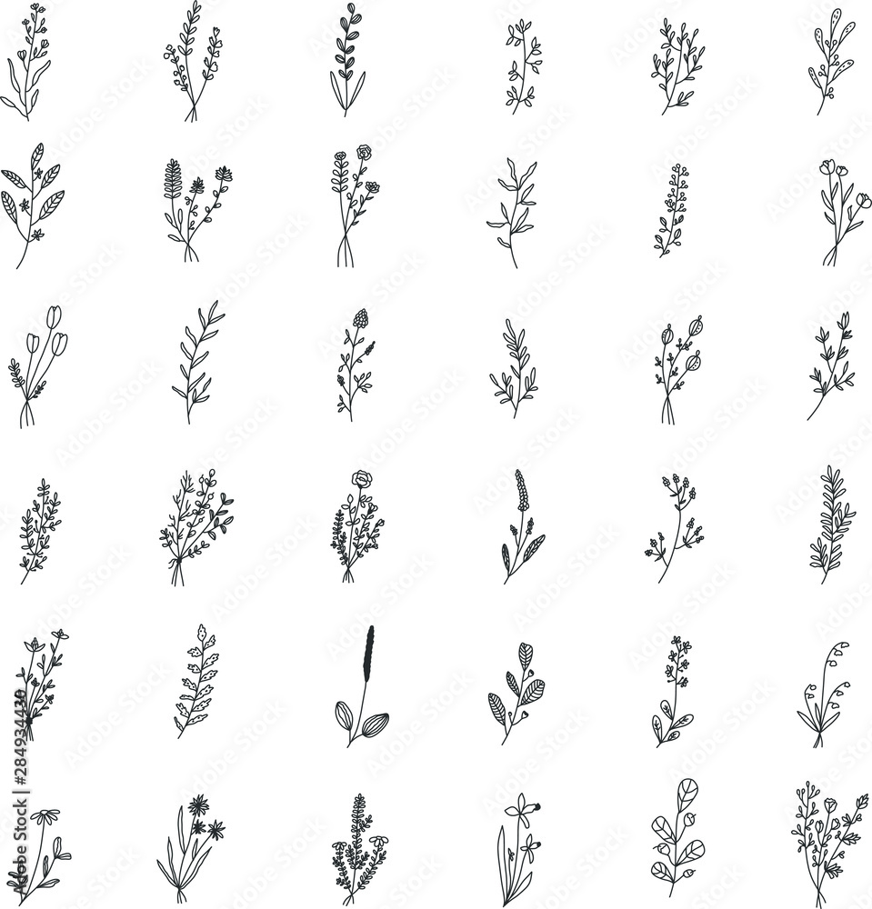 Floral and herbal set. Graphic collection with fantasy field herbs. Hand drawn elements. Botanical elements for design on a white background. Sketch of branch, foliage,leaves, berries