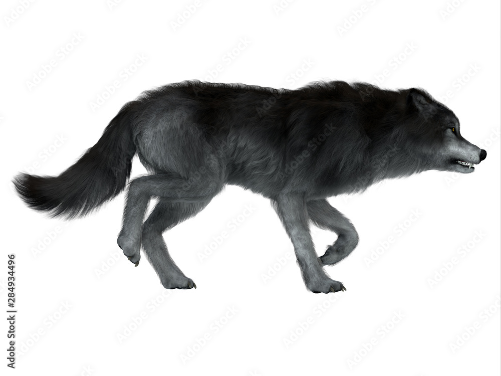 Dire Wolf Side Profile The carnivorous Dire Wolf lived in North and