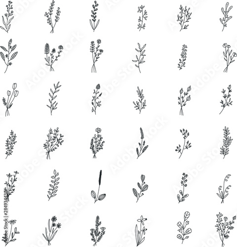 Floral and herbal set. Graphic collection with fantasy field herbs. Hand drawn elements. Botanical elements for design on a white background. Sketch of branch, foliage,leaves, berries © Lena